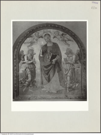 Vorderseite von bh569474_recto