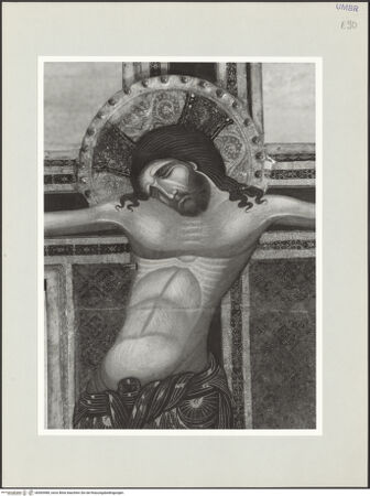 Vorderseite von bh569480_recto