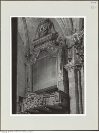 Vorderseite von bh569486_recto