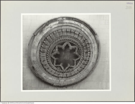 Vorderseite von bh569493_recto