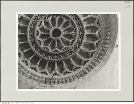 Vorderseite von bh569499_recto