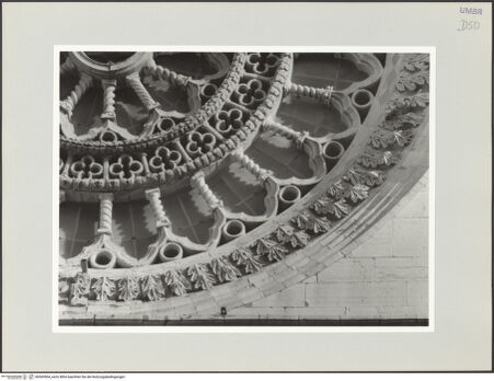 Vorderseite von bh569504_recto