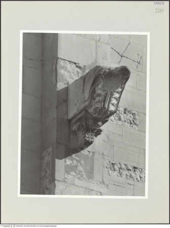 Vorderseite von bh569529_recto