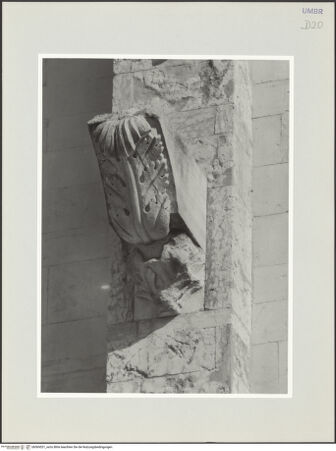 Vorderseite von bh569531_recto