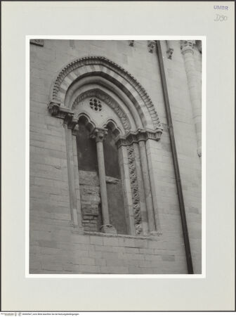 Vorderseite von bh569547_recto