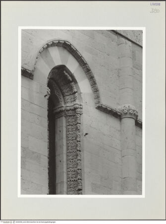 Vorderseite von bh569556_recto