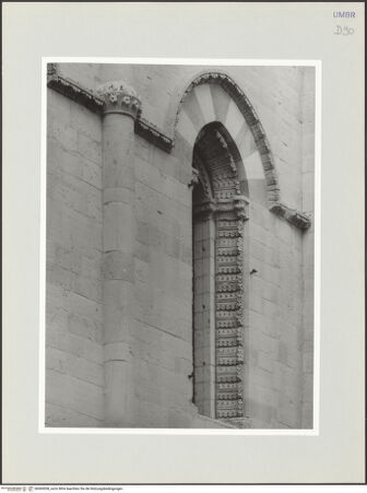 Vorderseite von bh569558_recto