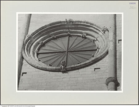 Vorderseite von bh569579_recto