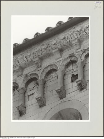 Vorderseite von bh569594_recto