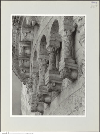 Vorderseite von bh569648_recto