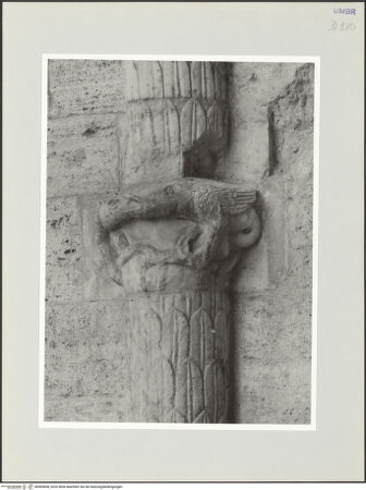 Vorderseite von bh569658_recto