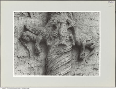 Vorderseite von bh569660_recto