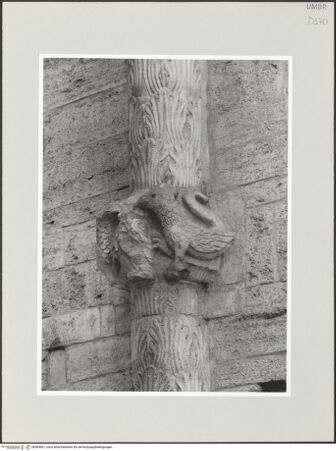 Vorderseite von bh569661_recto