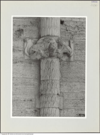 Vorderseite von bh569664_recto