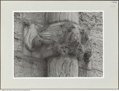 Vorderseite von bh569665_recto