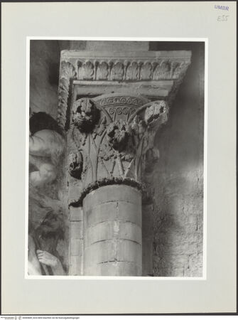 Vorderseite von bh569689_recto