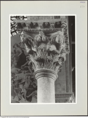 Vorderseite von bh569694_recto