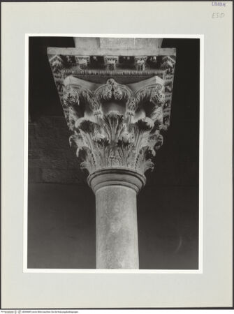 Vorderseite von bh569695_recto