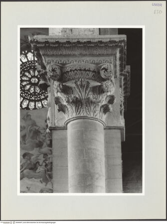 Vorderseite von bh569697_recto