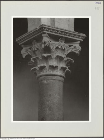 Vorderseite von bh569707_recto