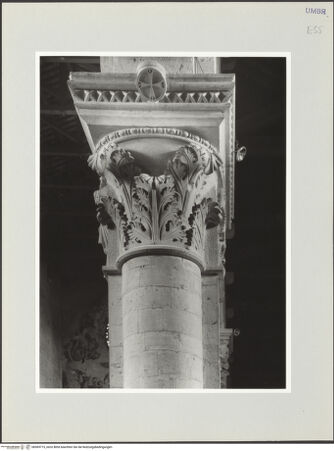 Vorderseite von bh569715_recto