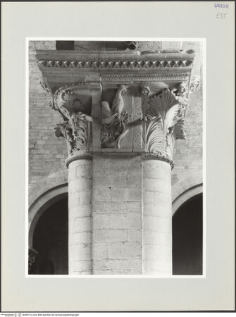 Vorderseite von bh569716_recto