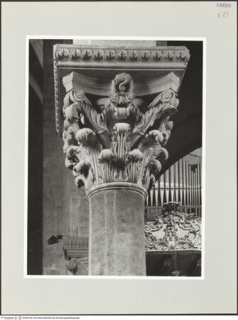 Vorderseite von bh569720_recto