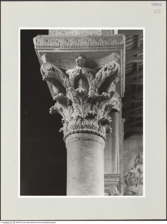 Vorderseite von bh569725_recto