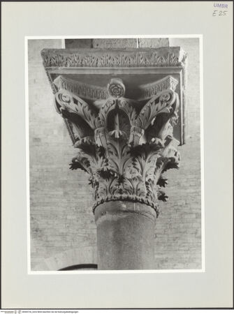 Vorderseite von bh569726_recto