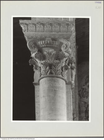 Vorderseite von bh569729_recto