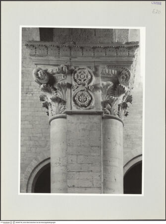 Vorderseite von bh569730_recto