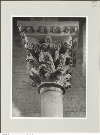 Vorderseite von bh569736_recto