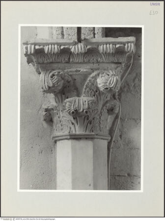 Vorderseite von bh569746_recto