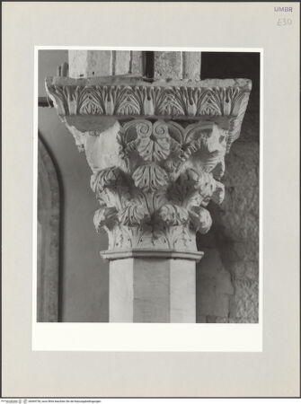 Vorderseite von bh569750_recto