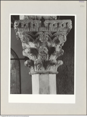 Vorderseite von bh569754_recto