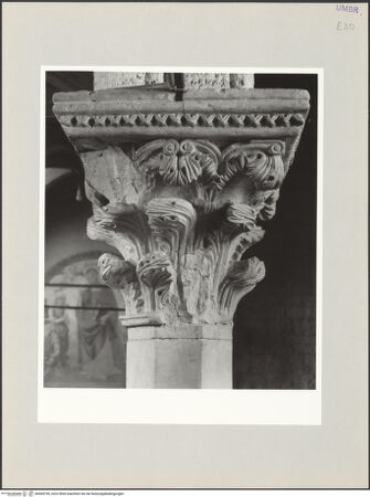 Vorderseite von bh569759_recto