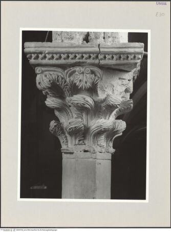 Vorderseite von bh569760_recto