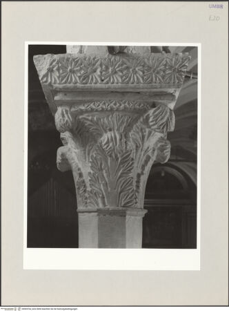 Vorderseite von bh569764_recto