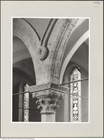 Vorderseite von bh569766_recto