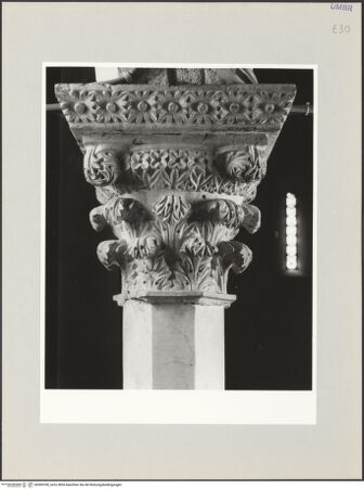 Vorderseite von bh569768_recto