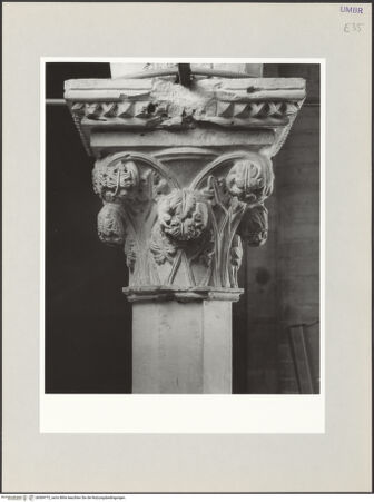 Vorderseite von bh569772_recto