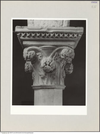 Vorderseite von bh569773_recto