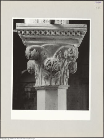 Vorderseite von bh569774_recto