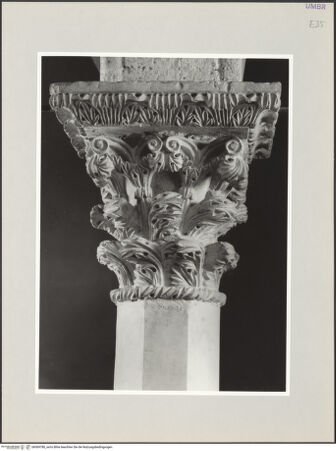 Vorderseite von bh569780_recto