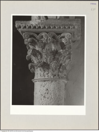 Vorderseite von bh569783_recto