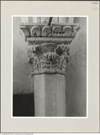 Vorderseite von bh569789_recto