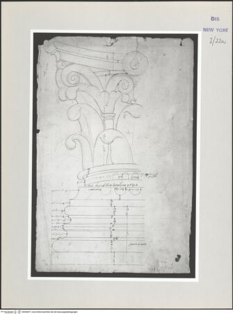 Vorderseite von bh569877_recto