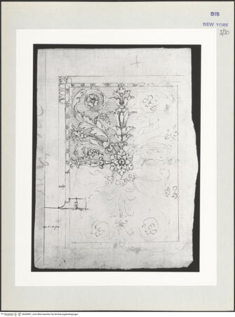 Vorderseite von bh569891_recto