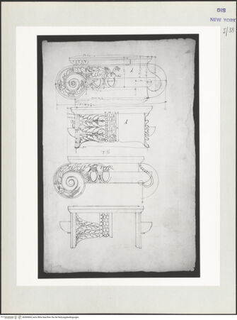 Vorderseite von bh569904_recto