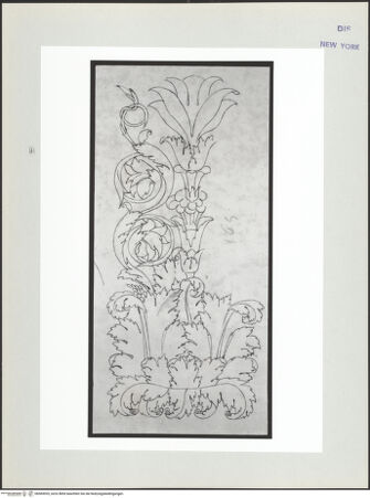 Vorderseite von bh569935_recto